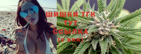 мдпв Верхний Тагил