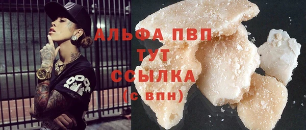 СК Покачи