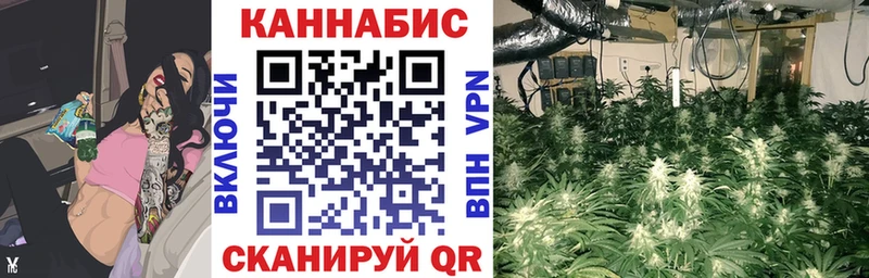 Бошки марихуана марихуана Лукоянов